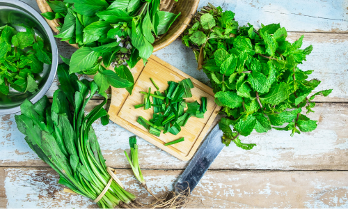 Growing Lush Herbs | Greenhouses Direct