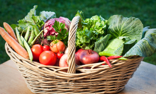 How Greenhouses Can Help You Beat the Rising Cost of Living with Fresh Vegetables